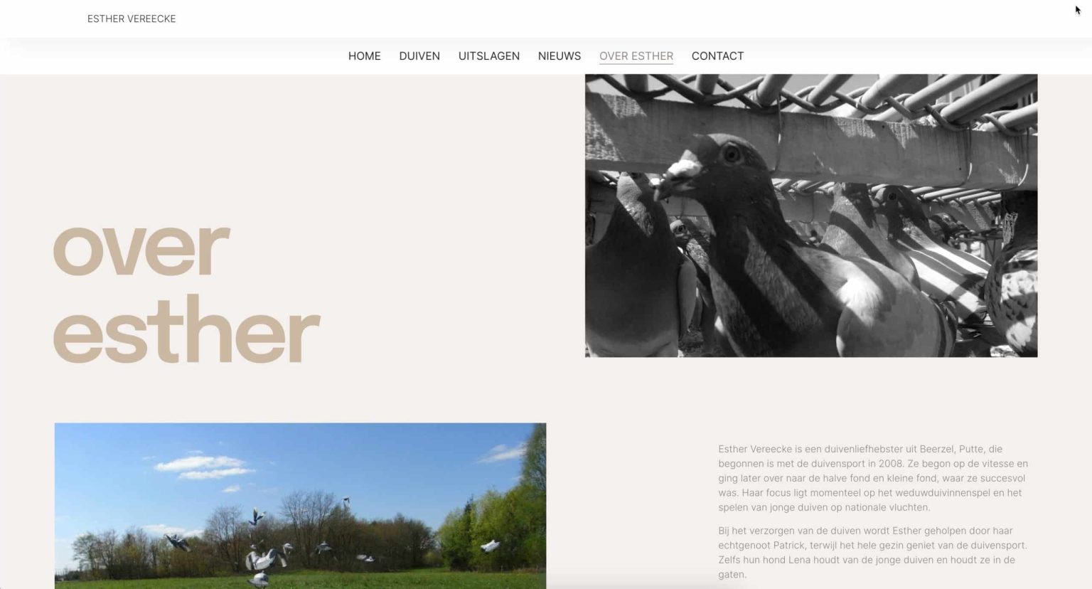 Fast Solutions - Over Esther - webdesign.