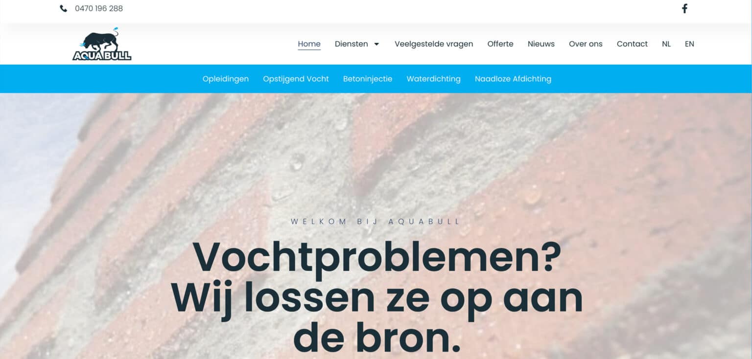 Een homepage voor Aquabull met een bakstenen muur als achtergrond en Nederlandstalige tekst over het oplossen van vochtproblemen, gemaakt met de expertise van Metaalwerken Web Design.